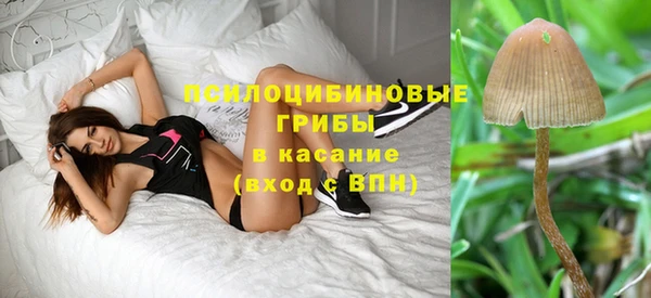 стаф Рославль