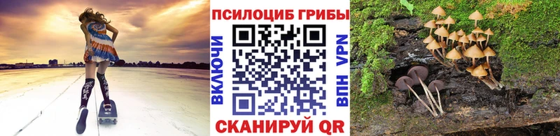 Псилоцибиновые грибы мицелий  Купить где  Магнитогорск